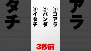 ほぼ毎朝出題【15秒クイズ】「熊猫」はなんて読む？