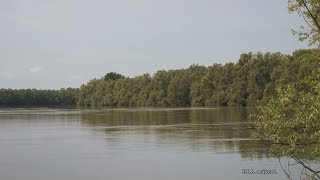 OAK protection a Mecsekerdő Zrt.-nél - 213. - 2018.05.05-i adás_angol felirattal