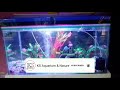 2.5 feet aquarium complete setup price😀 2.5 feet aquarium price 2.5 feet aquarium setup