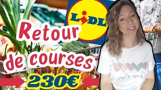 GROS RETOUR DE COURSES LIDL 230 EUROS