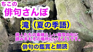 【俳句さんぽ・第21回】滝（夏の季語）初心者にもわかりやすい俳句鑑賞です。俳人たちの素晴らしい描写に読み手もその場所にいるようです。#俳句 #俳句鑑賞 #俳句朗読