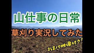 山仕事の日常#3 草刈り実況してみた、おまけ付き！！