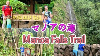 【Manoa Falls Trail】Easy hike on Oahu, Hawaii | reopening 【マノアの滝トレイル】子連れで行けるハワイのトレイル