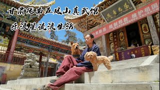 都说我像道士，带大家去甘肃陇南五凤山，拜访真正的道士吧  #樂浪星 #流浪生活 #狗狗 #日常vlog