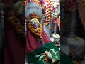 short satvi mal navratrotsav prindavan navratri short