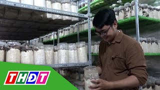 Khởi nghiệp trồng nấm mối ở miền Tây | THDT