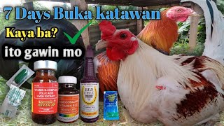 PAANO PABUKAHIN KATAWAN NG MANOK