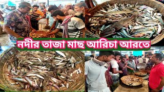 নদীর তরতাজা মাছে ভরপুর আরিচা মাছের আরত/Aricha Wholesale Fish Market@Manikganjprotidin