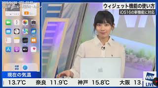 【檜山沙耶】さり気なくポン子🍋のまねをするさやっち🐸（23/04/02 22:52〜）【ウェザーニュースLiVE】