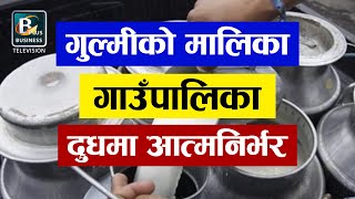 गुल्मीको मालिका गाउँपालिका ८ दुधमा आत्मनिर्भर, बिदेशबाट गाउँ फर्किएका युवाहरु पशुपालनमा |