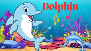 Dolphin Song | Sea Animals Song | Video For Toddlers | Kids Song ｜Kids Rhymes