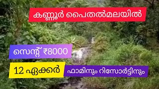 12 Acre Farm Resort Land ഫാമിനും റിസോർട്ടിനും For Sale | Kannur | Paithalmala (സെന്റ് 8000)