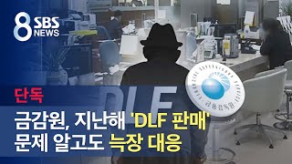 [단독] 금감원, 지난해 'DLF 판매' 문제 알고도 늑장 대응 / SBS