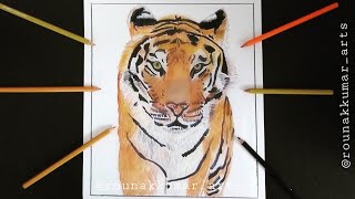 How to draw realistic tiger drawing using colour pencils | Drawing Tiger time lapse drawing