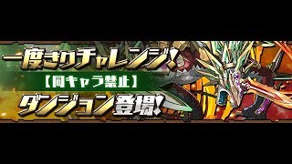 パズドラ！！一度きりチャレンジ　同キャラ禁止　初見　ソロ　ノーコン　リクウ×リクウ