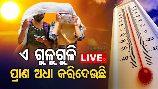 LIVE||  ତାତି କମିଛି ହେଲେ ଗୁଳୁଗୁଳି ଜୀବନ ନେଉଛି । Weather Update || Heat Wave || OTV