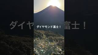 今が見頃！ダイヤモンド富士が見れる山　竜ヶ岳　#shorts  #登山  #shortvideo  #富士山