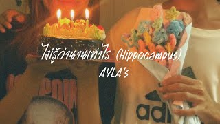 ไม่รู้ว่านานเท่าไร (Hippocampus) - AYLA's    (ส่งงานนาฏศิลป์)