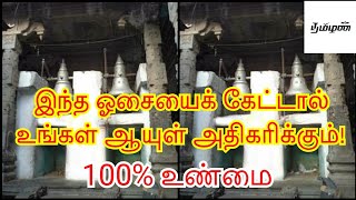 உலகிலேயே மிகச் சிறந்த மணி எது தெரியுமா? | தமிழன் | Tamilan | Tamil