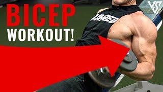 Full Bicep Workout for BIGGER Arms (4 EXERCISES!) | V SHRED