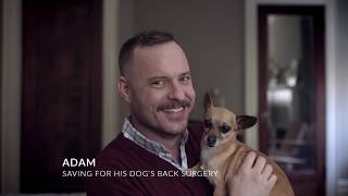 The Value of Money: Pet Surgery
