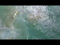 Drone rescues swimmers in Australia in world first