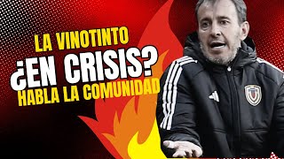 LA VINOTINTO ¿En crisis?