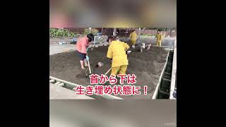 大分県別府『別府海浜砂湯』に行ってみた