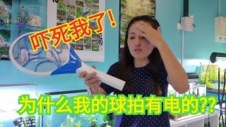 超强电蚊拍杀蚊子高手 蚊子是全球公敵？HOW TO KILL THE MOSQUITO