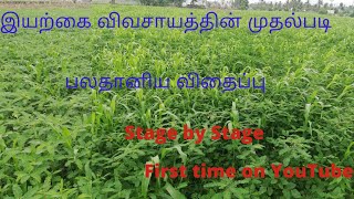 பலதானிய விதைப்பு /  Multi grain sowing / இரசாயன நிலத்தை மாற்றும் வழி