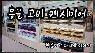 몽골 여행Vlog_당분간 여행은 없다!!!!!!돈없어도 고비 캐시미어 사고보자! 몽골에서의 마지막 브이로그 이야기 #여행브이로그