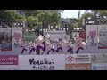 ふくこい連　yosakoiさせぼ祭り　桜風①