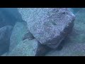 20240427-1-1 Scuba Diving at High Island Reservoir (East Dam), Hong Kong (Part 1/2)