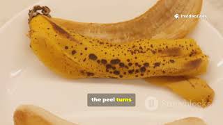 Stop Storing Bananas Wrong!