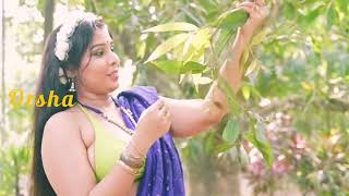 Orsha Hot Saree