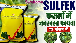 Sumitomo Sulfex | Sulfex 80 wdg Uses | Sulphur 80 wp | Sulfex Sulphur | Sulphur fungicide