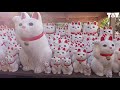 gotokuji temple in tokyo filled with thousands of lucky cats