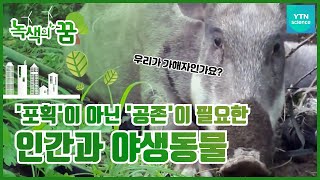 공존의 아이러니, 유해야생동물 [녹색의 꿈] / YTN 사이언스