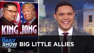 Big Little Allies | The Daily Show