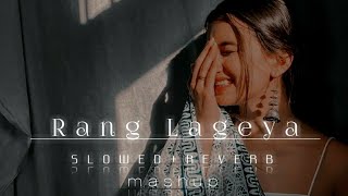 Rang Lageya || mashup remix || lofi slowed + reverb || Bollywood Romantic song || Tum mile Dil khile