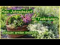 Meine 12 liebsten Teekräuter anbauen ernten trocknen für unseren Jahresbedarf