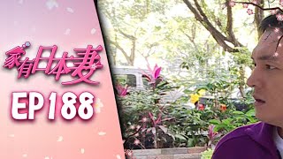 家有日本妻 EP188