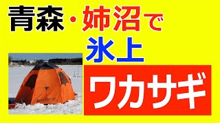 【ワカサギ】小さいのに竿先が激しく揺れるワカサギを氷上で釣ったよ〜う