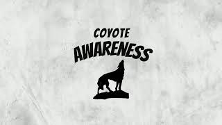 Introducing Coyote Awareness