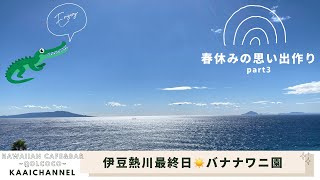 春休みの思い出作り🌸👦伊豆熱川最終日☀️やっと晴れた‼️バナナワニ園で本物のワニに怯えた日🐊