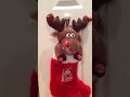 dandee animated reindeer stocking