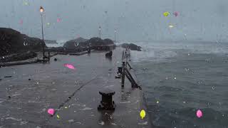 Ocean Storm Sounds for Sleep or Study | Loud Thunder, Waves, Howling Wind & Heavy Rain | Stormy Sea