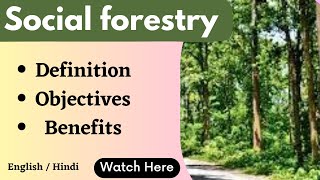 Social forestry || Definition || objectives || Benefits ||