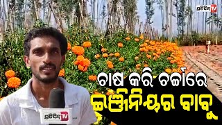 ଇଂଜିନିୟର ମଣିରାମ ହେଲେ ସଫଳ ଗେଣ୍ଡୁ ଚାଷୀ ! | PratidinTv