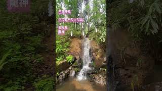 【戸隠神社　宝光社】#超意識 #潜在能力を引き出す #戸隠神社５社巡り#龍神#野鳥#リーディング #引き寄せの法則